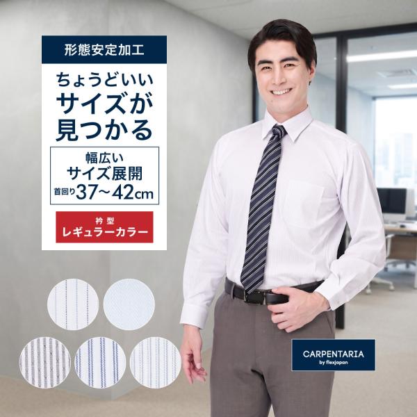 サイズが豊富 ワイシャツ 長袖 形態安定 メンズ Yシャツ カッターシャツ ビジネス 制服 就活 学生 レギュラーカラー P12S1PC10 プラトウ CARPENTARIA FLEXJAPAN