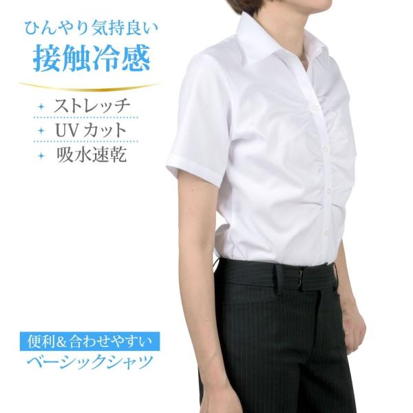 レディースシャツ 半袖 形態安定 標準型 PLATEAU P37PLA226