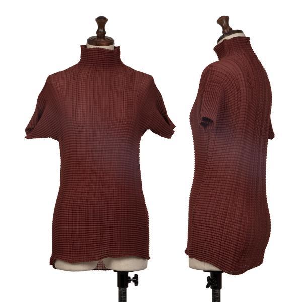 イッセイミヤケISSEY MIYAKE ストレッチプリーツハイネックTシャツ 茶M  