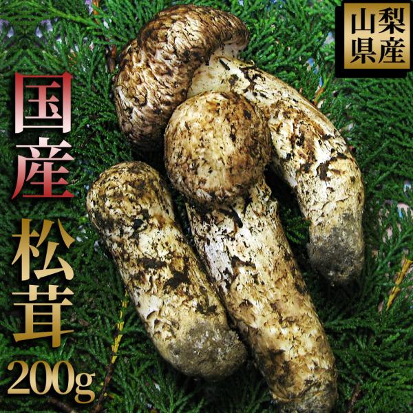 山梨県産 松茸 国産 マツタケ 朝採れ新鮮 日本国産まつたけ 0g Matsutake 1 Plejour プレジュール 通販 Yahoo ショッピング