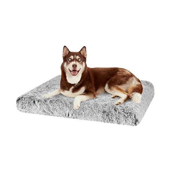 犬をダメにするベッド みんな探してる人気モノ 犬をダメにするベッド