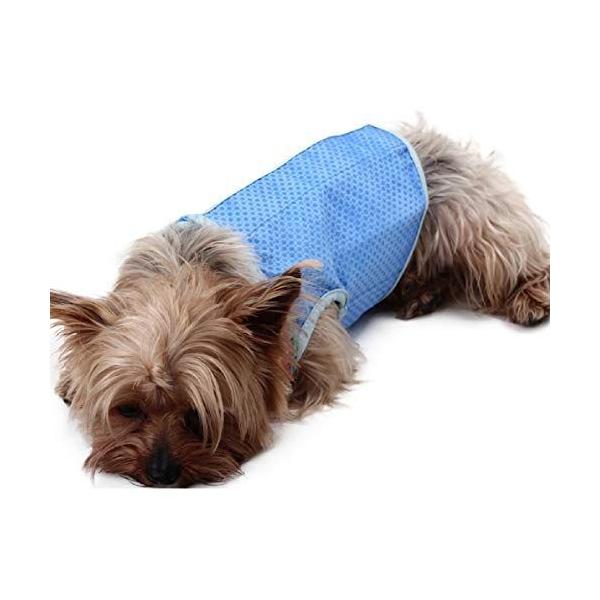 犬 冷却グッズ 散歩 みんな探してる人気モノ 犬 冷却グッズ 散歩 ペット ペットグッズ