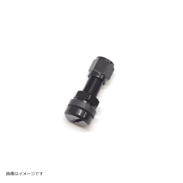 GALE SPEED (�Q�C���X�s�[�h) �G�A�o���u �X�g���[�g30mm �A���~ �L���b�v�t �u���b�N ��11.5�Ή� 28200055 ���i�摜