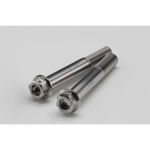 その他 kaaa. AELLA AELLA(アエラ) チタン削り出しキャリパーボルト ZX-25R AT-KA003