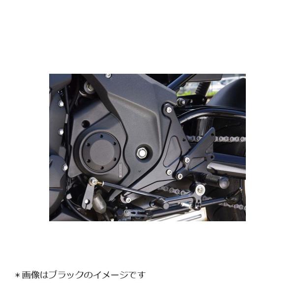 babyface（ベビーフェイス） バックステップ/ゴールド 6P Ninja650R