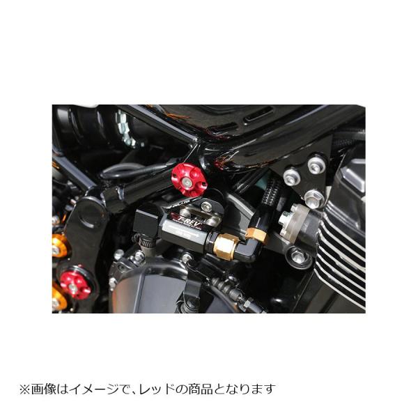BabyFace フレームキャップ Z900RS BABYFACE (ベビーフェイス) フレームキャップ ゴールド4pc