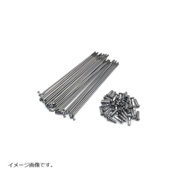ダートフリーク ダチ ステンレススポーク/ニップルセット DC421