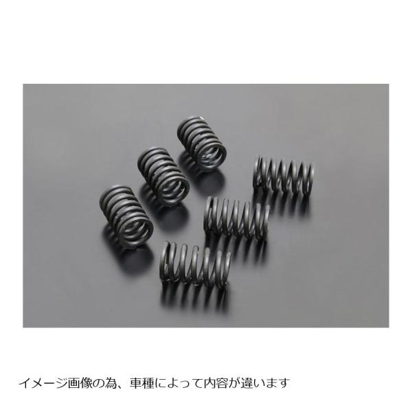 PMC (ピーエムシー) クラッチス プリングセット Z1100R GPZ1100