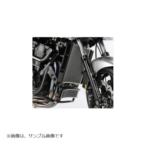 GPZ900R アクティブ サブフレーム バフ | ACTIVE