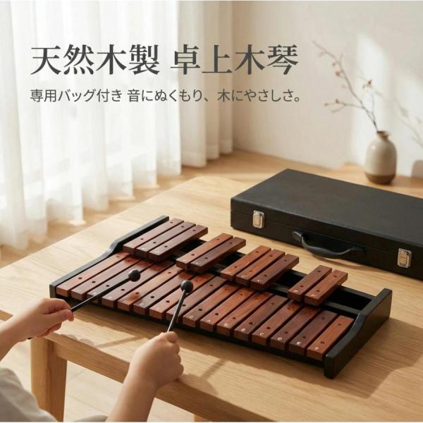pltstore木琴 25音 卓上木琴 天然木 木製 シロフォン 収納ケース付き お手入れクロス付 初心者 練習用 音楽 子供用 大人用 持ち運び便利 コンパクト ギフト プレ