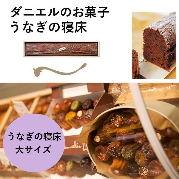 ダニエルのお菓子 チョコレートケーキ うなぎの寝床 大 お年賀 バレンタインデー ギフト Dan 010 Plumber 通販 Yahoo ショッピング