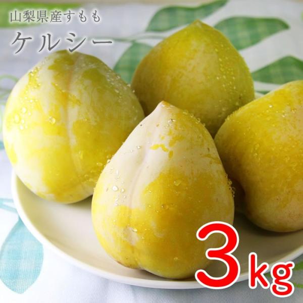 山梨県産 すもも プラム ケルシー 3kg箱 36 42玉前後 Kr 02 武井プラムファーム 通販 Yahoo ショッピング