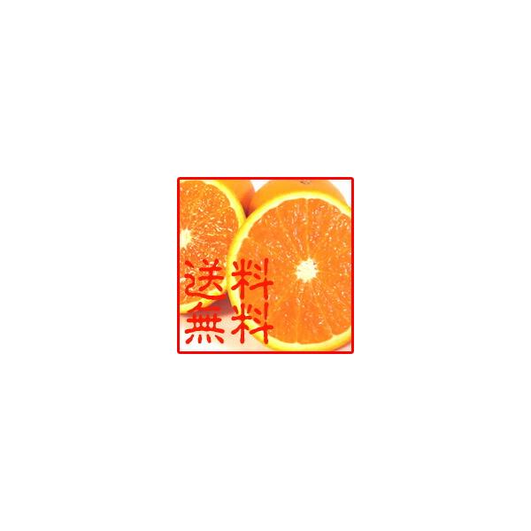 【送料無料】清見オレンジ　５ｋｇ箱入