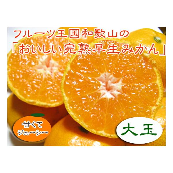 【季節限定】フルーツ王国和歌山の早生みかん（大玉L）５ｋｇ