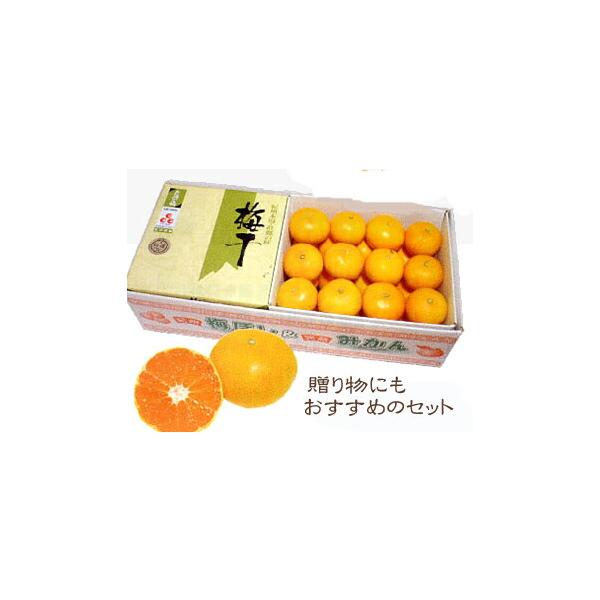 あまちゃづる入みなべの梅１ｋｇ＋【季節限定】フルーツ王国和歌山の早生みかん（小玉）２ｋｇセット