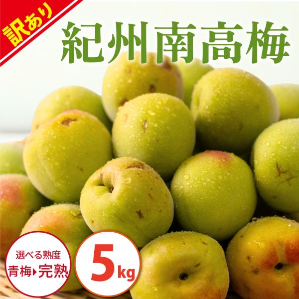 青梅 完熟梅 南高梅  5kg 送料無料(送料一部別途)  和歌山産紀州南高梅 用途（ジュース・梅酒/漬け梅(梅干し)）【旬のとれたて青梅】粒サイズ（小玉・大玉）選べる【紀州南高梅の青梅】【日付指定不可】生梅