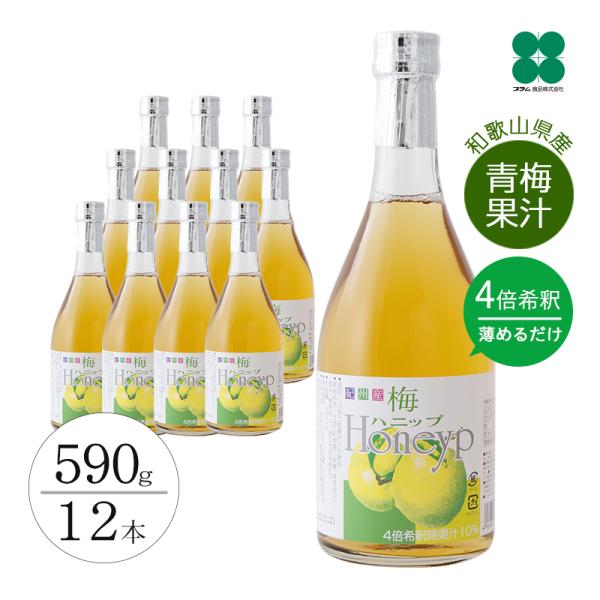 紀州産　梅ハニップジュース　590g 12本セット プラム食品 完熟梅ハニップ 濃縮梅ジュースの素 590g×12本セット