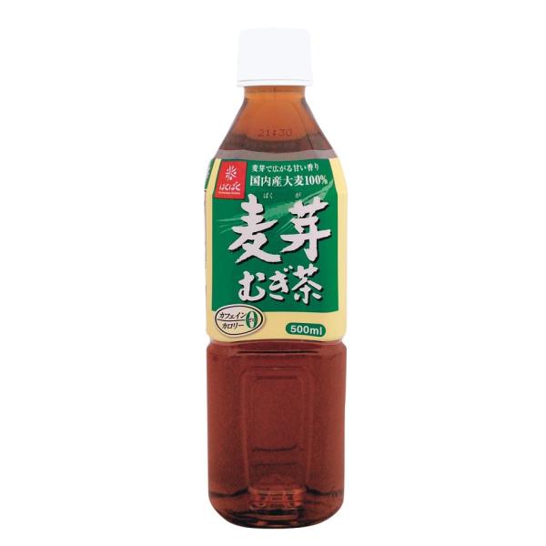 麦芽むぎ茶 500ml×24本 国内産大麦100％使用 カフェインゼロ カロリー