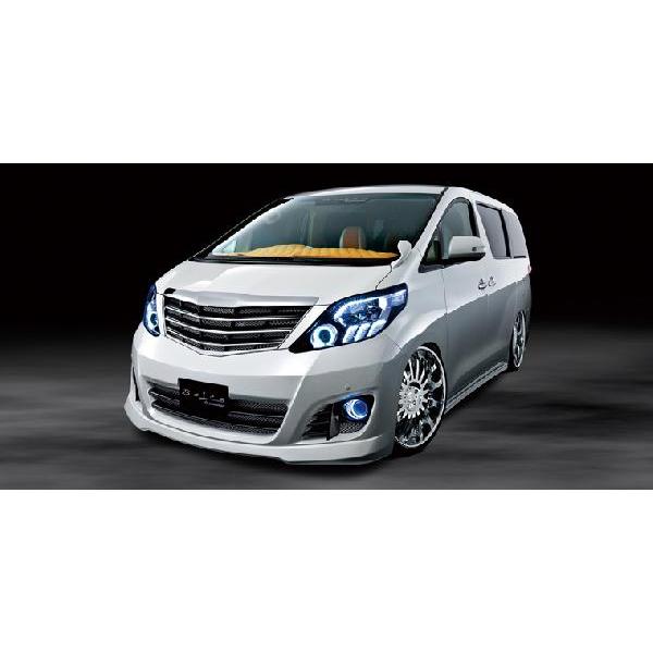 通常版 系アルファード 後期バンパー Sグレード アドミレイション 海外直輸入 自動車 オートバイ Rspg Spectrum Eu