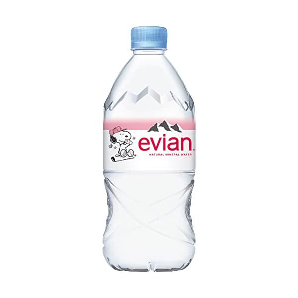 Evianエビアン 伊藤園 evian 硬水 ミネラルウォーター ペットボトル 750ml×12本 正規輸入品