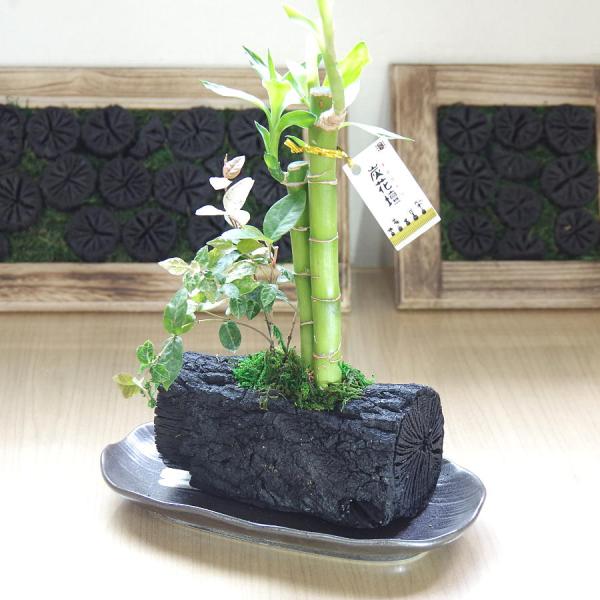 炭花壇 L バンブー 観葉植物 炭 木炭 浄化 消臭 除湿 調湿 インテリア 運気アップ おしゃれ