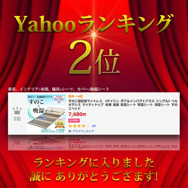 2セット 布団 寝具 すのこ型除湿マットレス 除湿 テイジン ダブルインパクトプラス シングル ベルオアシス 除湿マット 結露 調湿シート 除湿シート 吸湿シート 調湿シート すのこベッド Tji 480 2set プラスワンストア