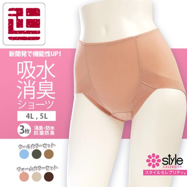 3色組 大きいサイズ 失禁ショーツ レディース 吸水 消臭 ショーツ 抗菌防臭 女性用 吸水ショーツ 尿もれ  東洋紡  QVC 4L 5L 中失禁 無地 辻一株式会社