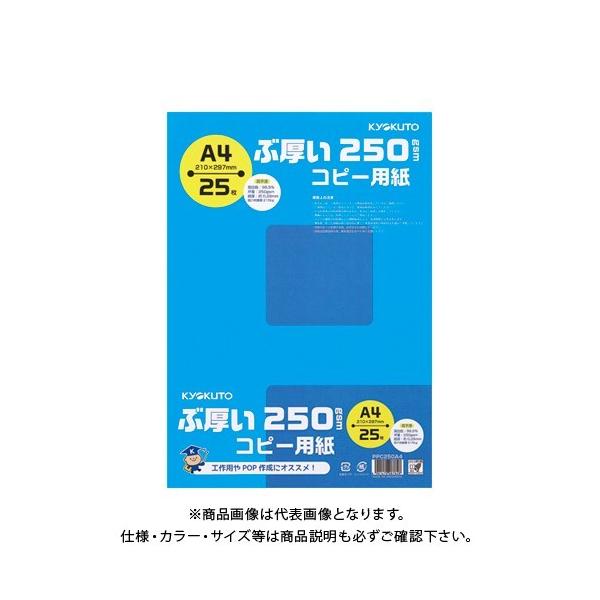 {m[g(LNgEEA\VGCc) Ԍ250gsmRs[pA4 PPC250A4