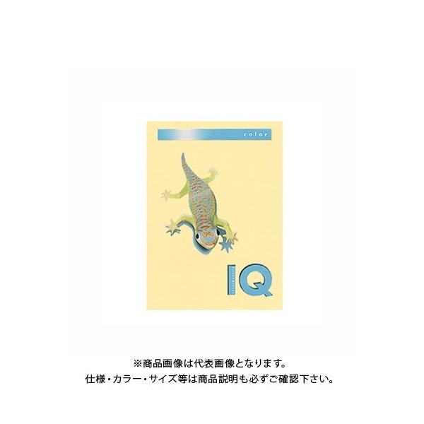 ɓ oCIgbvJ[A4(500) BT501 N[