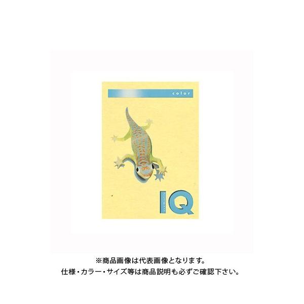 ɓ oCIgbvJ[A4(500) BT503 CG[