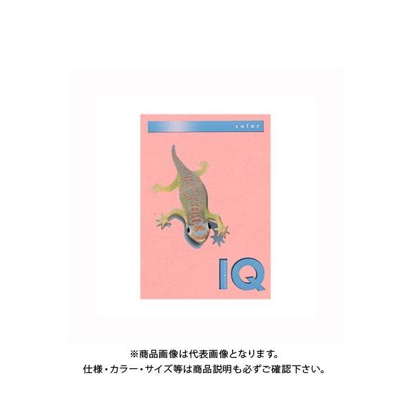 ɓ oCIgbvJ[A4(500) BT504 sN