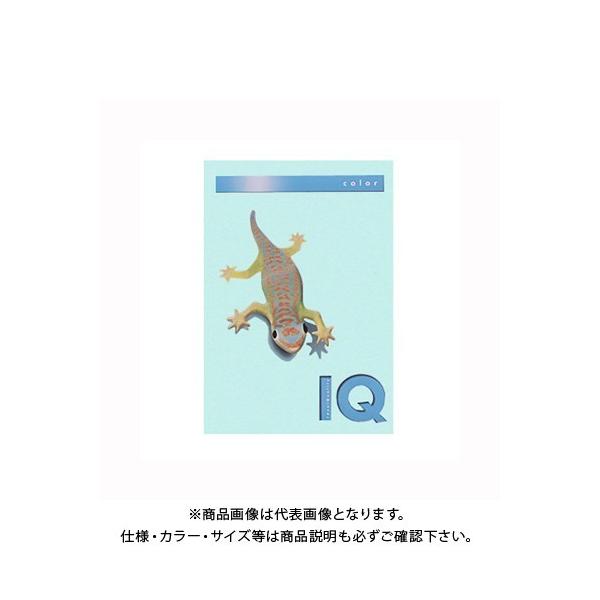 ɓ oCIgbvJ[A4(500) BT508 ~fBAu[