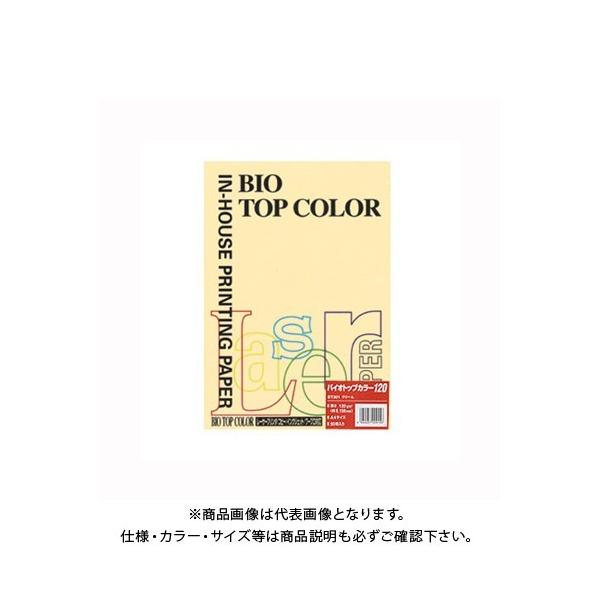 ɓ oCIgbvJ[A4 (50) BT301 N[