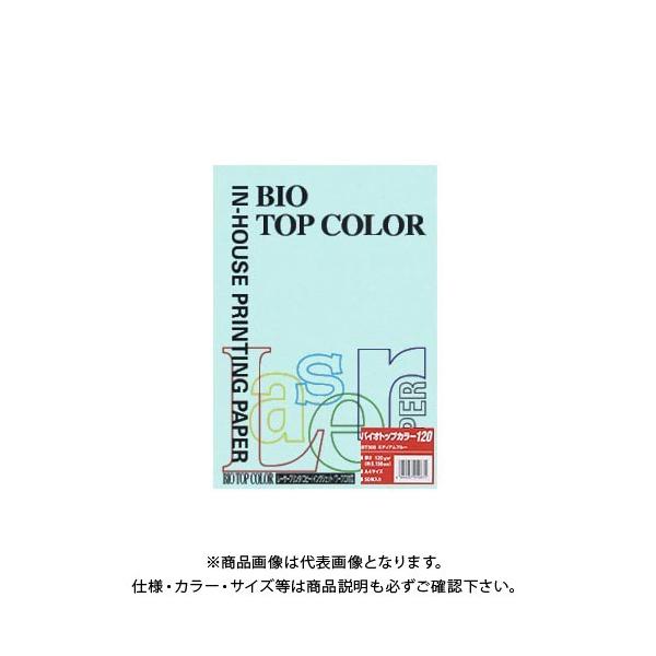 ɓ oCIgbvJ[A4 (50) BT308 ~fBAu[