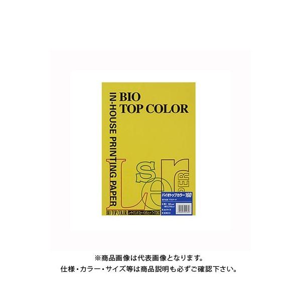 ɓ oCIgbvJ[A4 (50) BT429 }X^[h