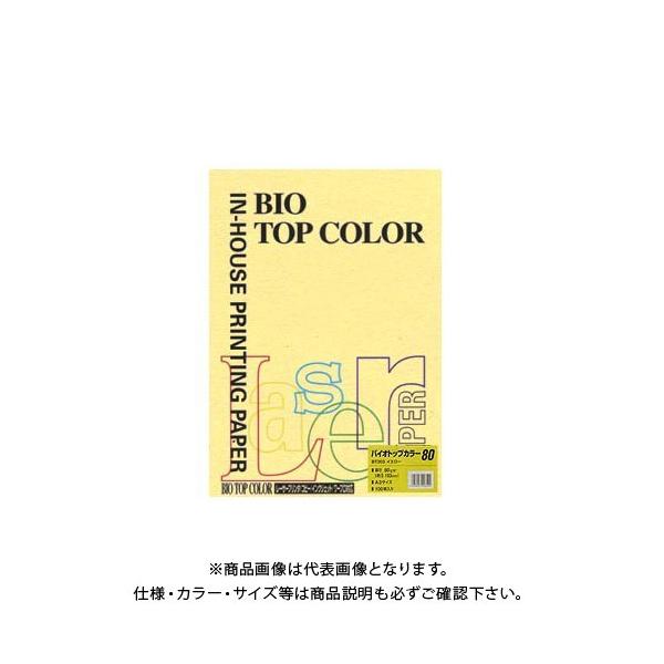 ɓ oCIgbvJ[A3(100) BT203 CG[