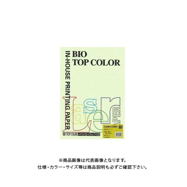 ɓ oCIgbvJ[A3(100) BT205 O[