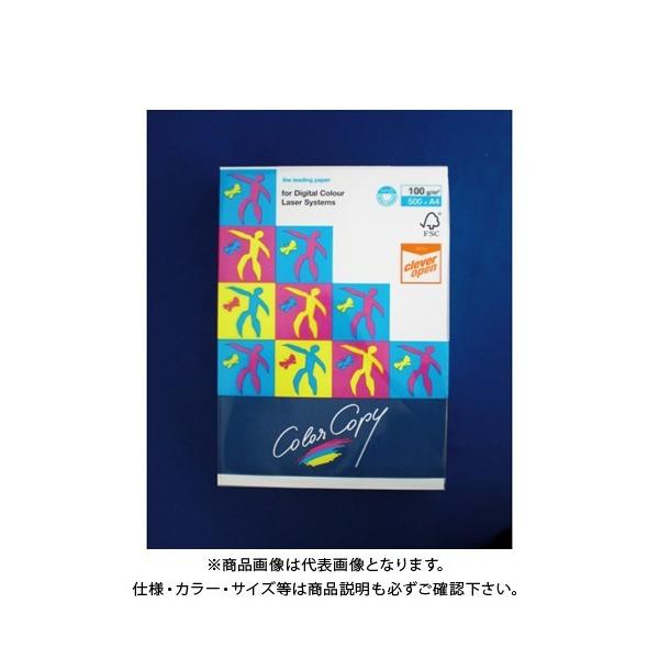 ɓ nCp[ 100g A4(500) HP501 zCg