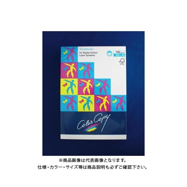 ɓ nCp[ 160g A4(250) HP502 zCg