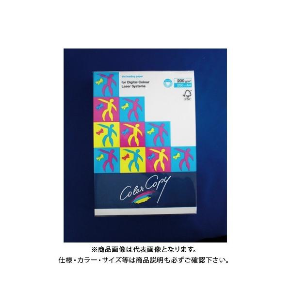 ɓ nCp[ 200g A4(250) HP504 zCg