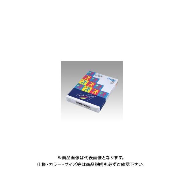 ɓ nCp[ 100g A3(500) HP601 zCg