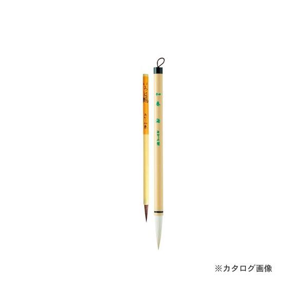  M {g(4tC+͕) ALS-100