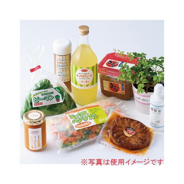 �q�T�S ���������x��A424�ʗ]������ OPW701