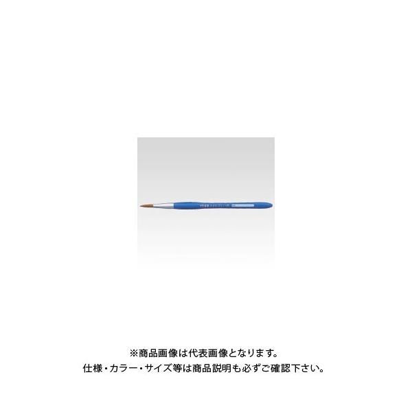 TNNpX M lIZuەM  6 NR6