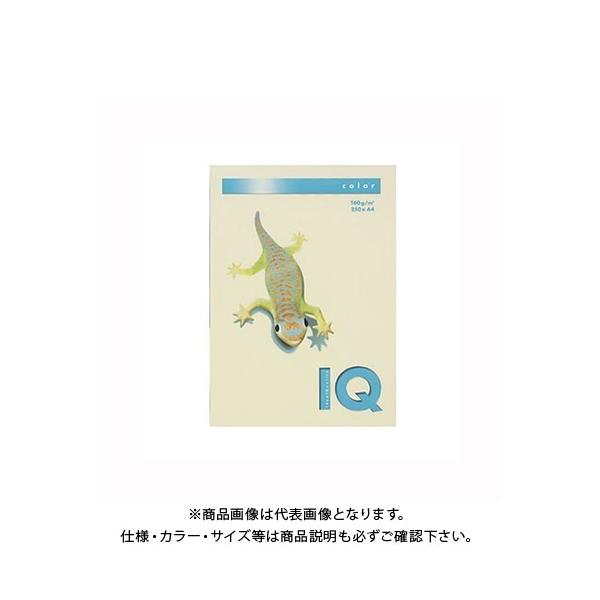 ɓ oCIgbvJ[A4(250) BT830 oj