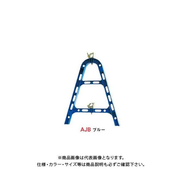 (ʓr)(i)S PǃoP[h  (10) AJB