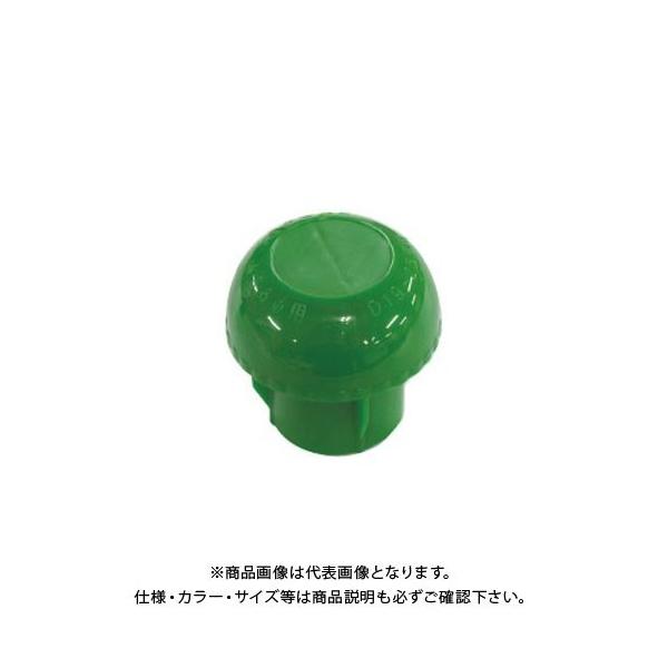 (ʓr)(i)S AZPǃLbv  V[ P48.6 (200)