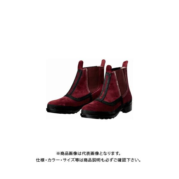 hP DONKEL ϔMEnڈSC T-4-23.5cm