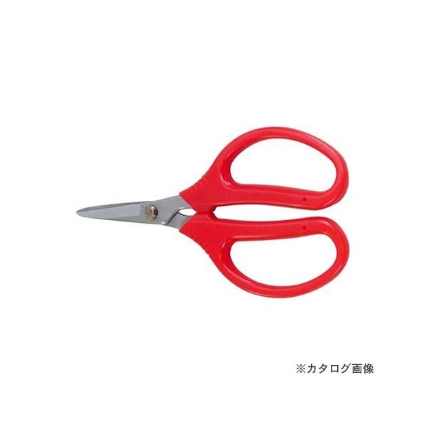 Bcross Ntg}CJbg C-6501