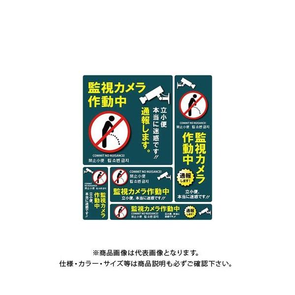 MTO hƃXebJ[  SS-008